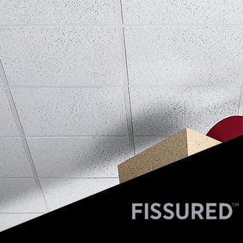 Panel USG Fissured